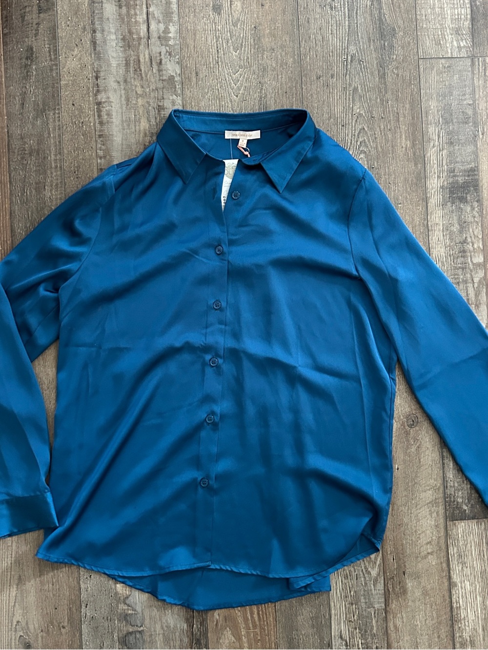 Skies Are Blue Teal Satin Button-Front Blouse